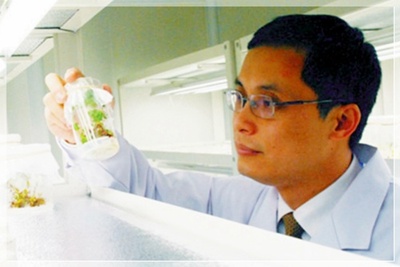 ����ҩ�����������ƽ���ҽҩ