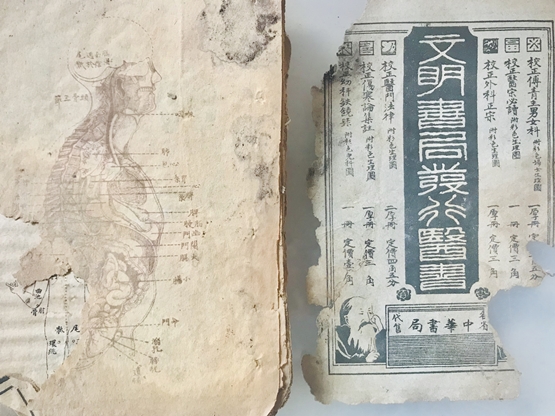 ��ҽ����ʮ���������